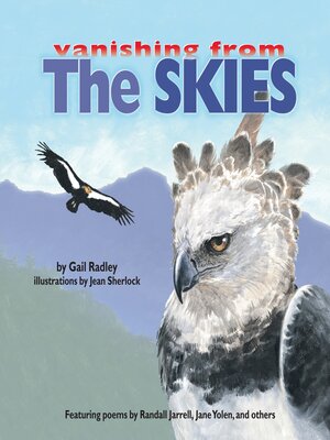 cover image of The Skies